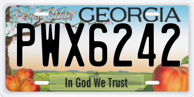 GA license plate PWX6242
