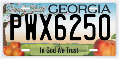 GA license plate PWX6250