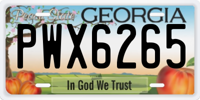 GA license plate PWX6265