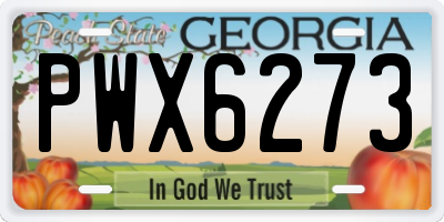 GA license plate PWX6273