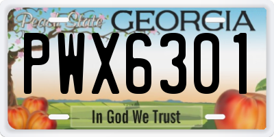 GA license plate PWX6301