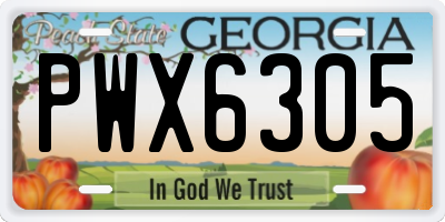 GA license plate PWX6305