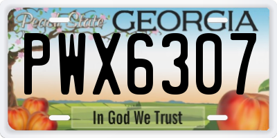 GA license plate PWX6307