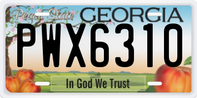 GA license plate PWX6310