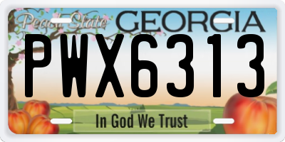 GA license plate PWX6313