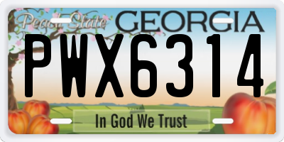 GA license plate PWX6314
