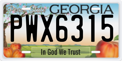GA license plate PWX6315