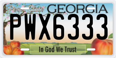 GA license plate PWX6333