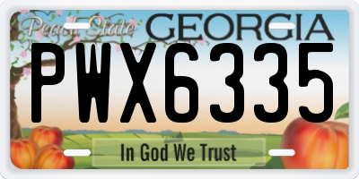 GA license plate PWX6335