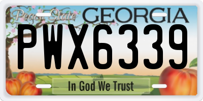 GA license plate PWX6339