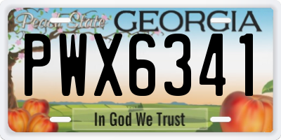GA license plate PWX6341