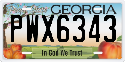 GA license plate PWX6343