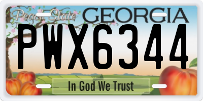 GA license plate PWX6344
