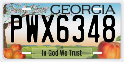GA license plate PWX6348