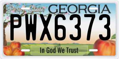 GA license plate PWX6373