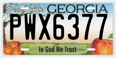 GA license plate PWX6377