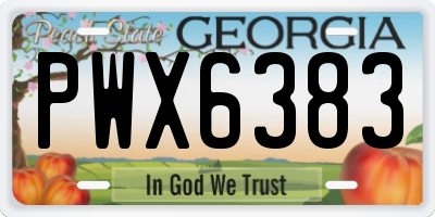 GA license plate PWX6383