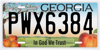 GA license plate PWX6384