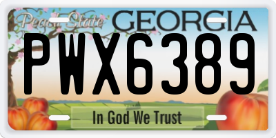GA license plate PWX6389