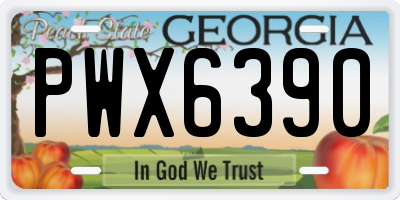 GA license plate PWX6390