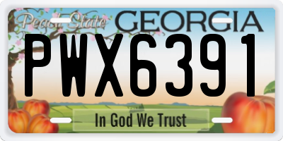 GA license plate PWX6391