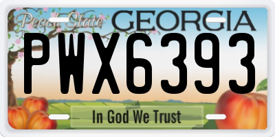 GA license plate PWX6393