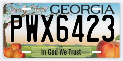 GA license plate PWX6423