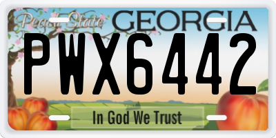 GA license plate PWX6442