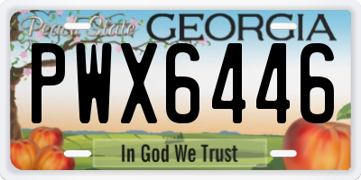 GA license plate PWX6446