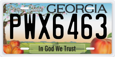 GA license plate PWX6463