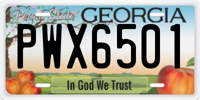 GA license plate PWX6501