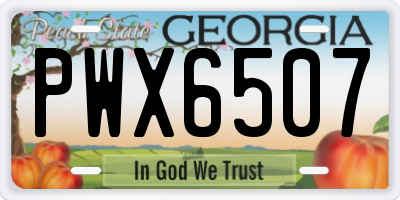 GA license plate PWX6507
