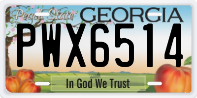 GA license plate PWX6514