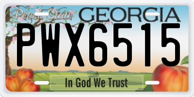 GA license plate PWX6515