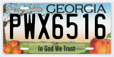 GA license plate PWX6516