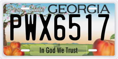 GA license plate PWX6517