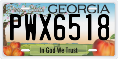 GA license plate PWX6518