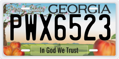 GA license plate PWX6523