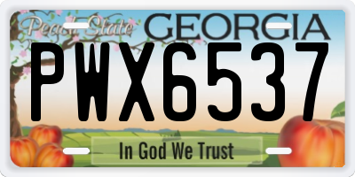 GA license plate PWX6537