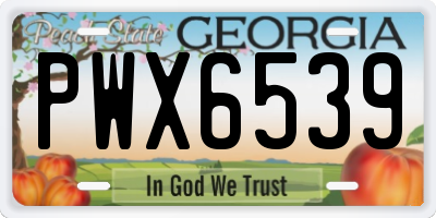 GA license plate PWX6539