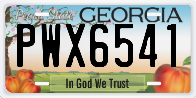 GA license plate PWX6541