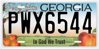 GA license plate PWX6544