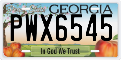 GA license plate PWX6545
