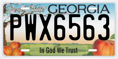 GA license plate PWX6563
