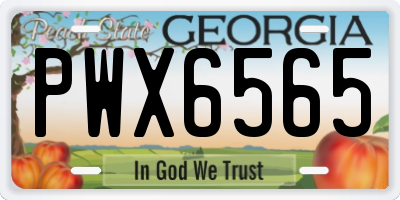 GA license plate PWX6565