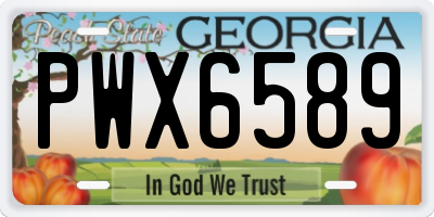 GA license plate PWX6589