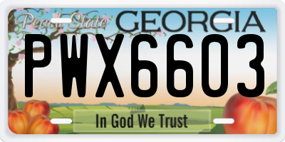 GA license plate PWX6603