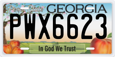 GA license plate PWX6623
