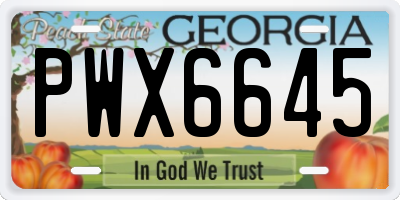GA license plate PWX6645