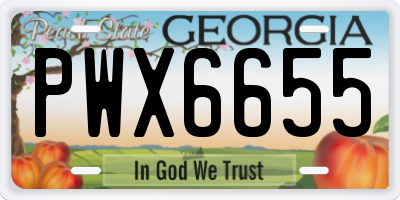 GA license plate PWX6655
